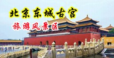 免費看的操逼黄片中国北京-东城古宫旅游风景区
